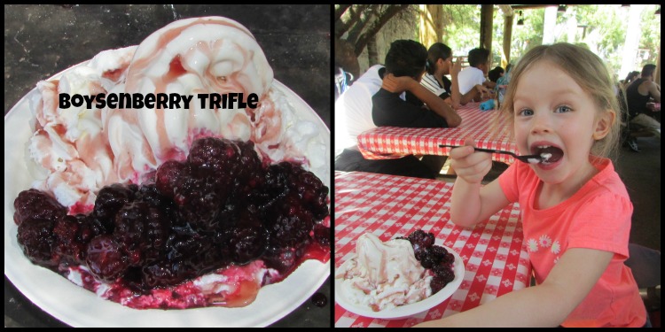 Boysenberry Festival Trifle