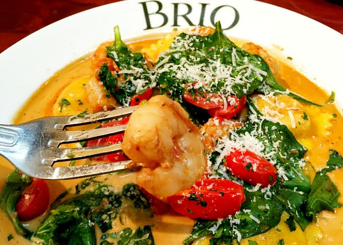 brio_lobster_shrimp_ravioli (c)EatDrinkOC